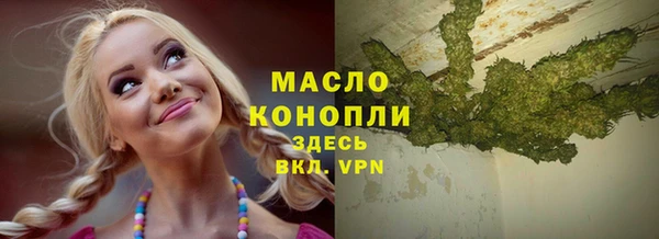 прущие грибы Заводоуковск
