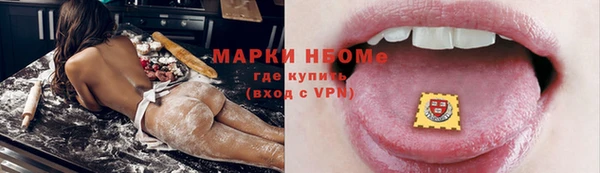 прущие грибы Заводоуковск