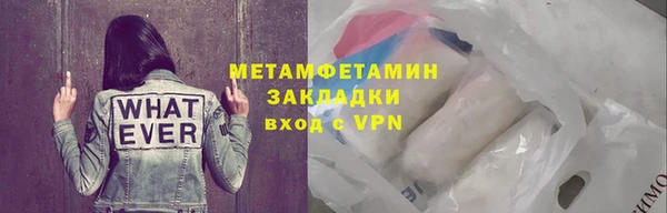 прущие грибы Заводоуковск