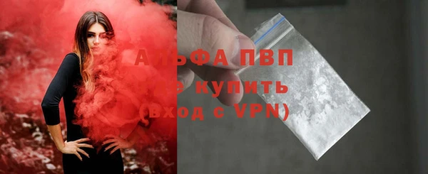 прущие грибы Заводоуковск