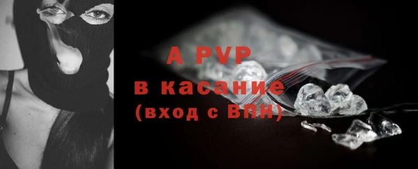 шишки Инта